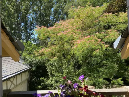 Gîte confortable avec parc boisé, activités familiales et équipements modernes près de la Loire - Photo 32