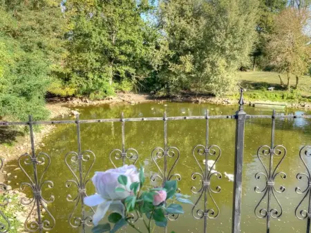 Gîte de charme XVIIe siècle avec jardin clos, balnéo, terrasse panoramique et WIFI près du Château de Villandry - Photo 33