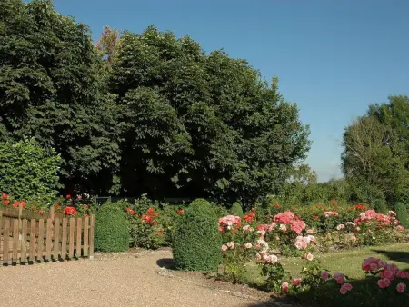 Gîte de charme XVIIe siècle avec jardin clos, balnéo, terrasse panoramique et WIFI près du Château de Villandry - Photo 35