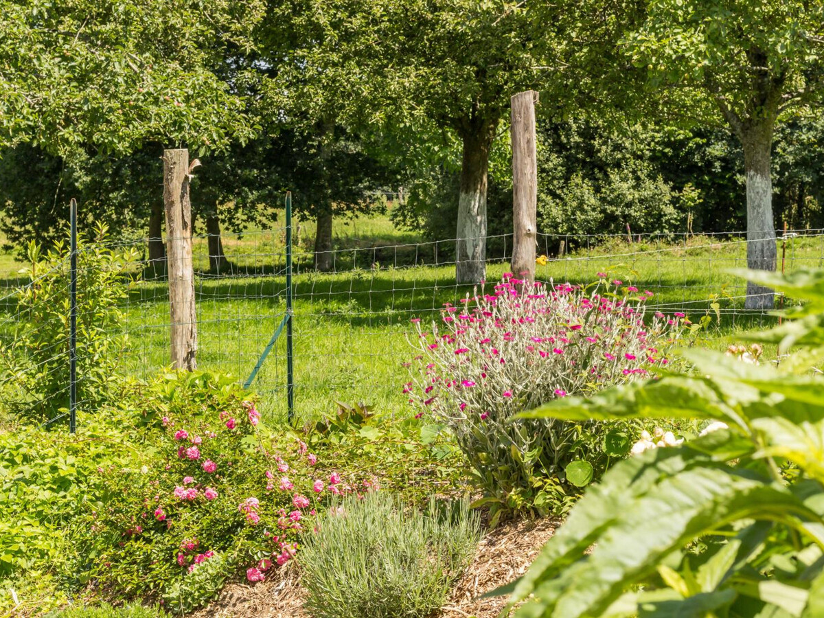 Gîte normand avec poêle à bois, cour privée et verger - Photo 17