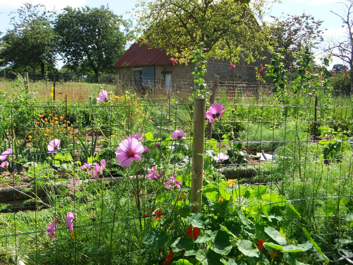Gîte normand avec poêle à bois, cour privée et verger - Photo 20