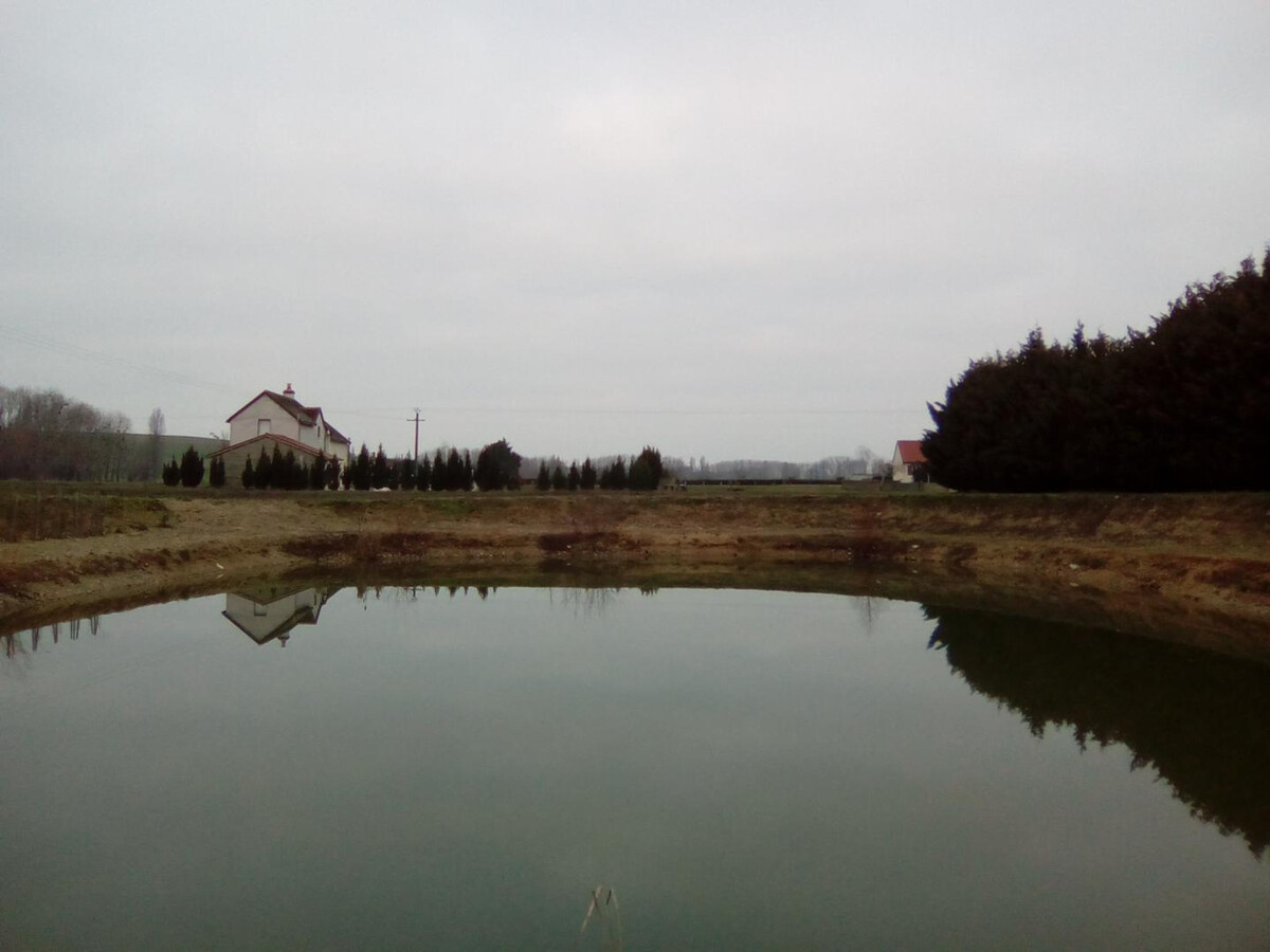 Gîte Touraine 6 pers. avec piscine, jardin et étang - Photo 33
