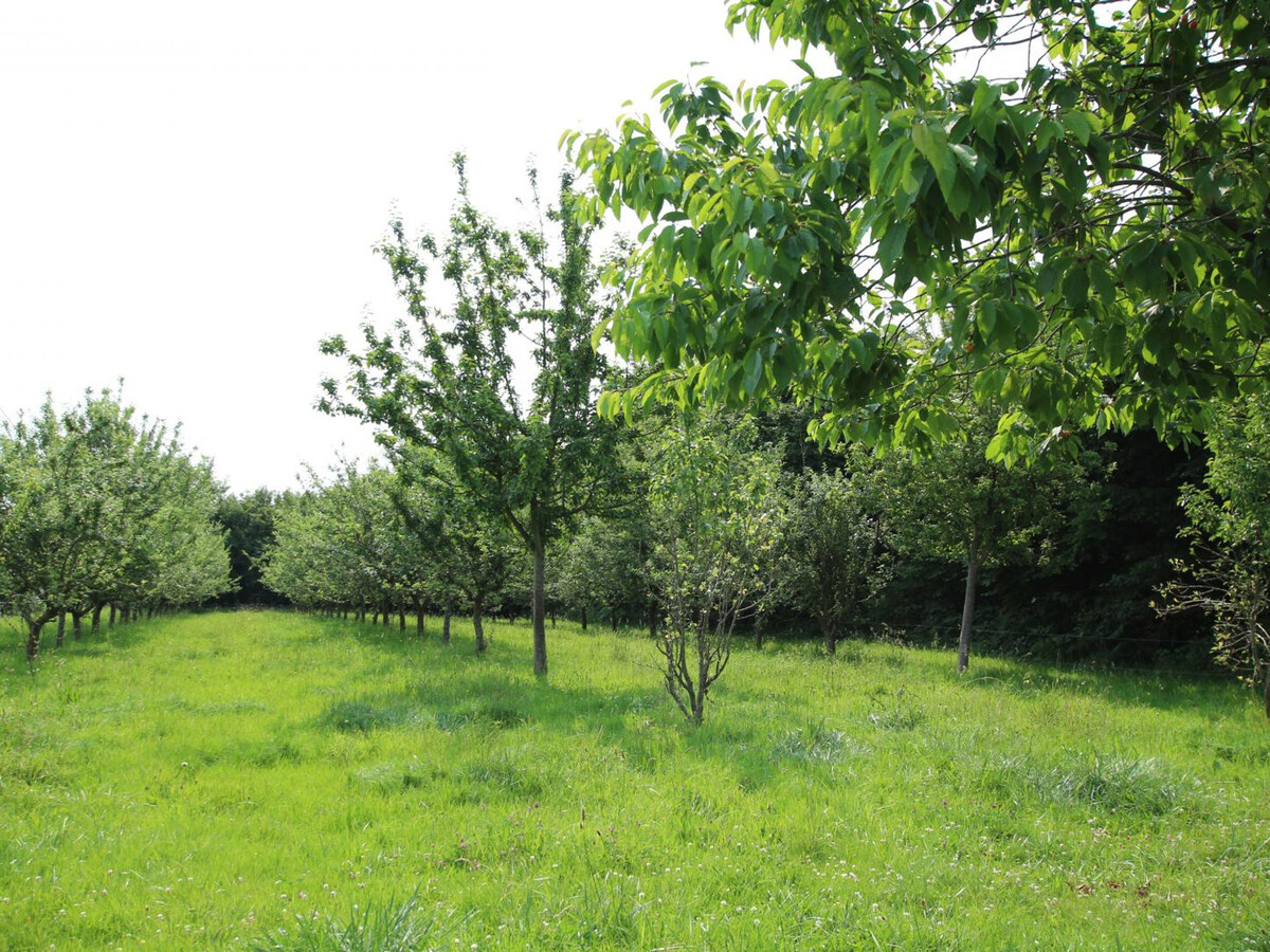 Gîte fermier avec terrain de pétanque à Bérigny - Photo 18