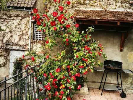 Charmant gîte près d'un château avec jardin, terrasse, parking et WiFi, à 14 km de Vichy - Photo 13