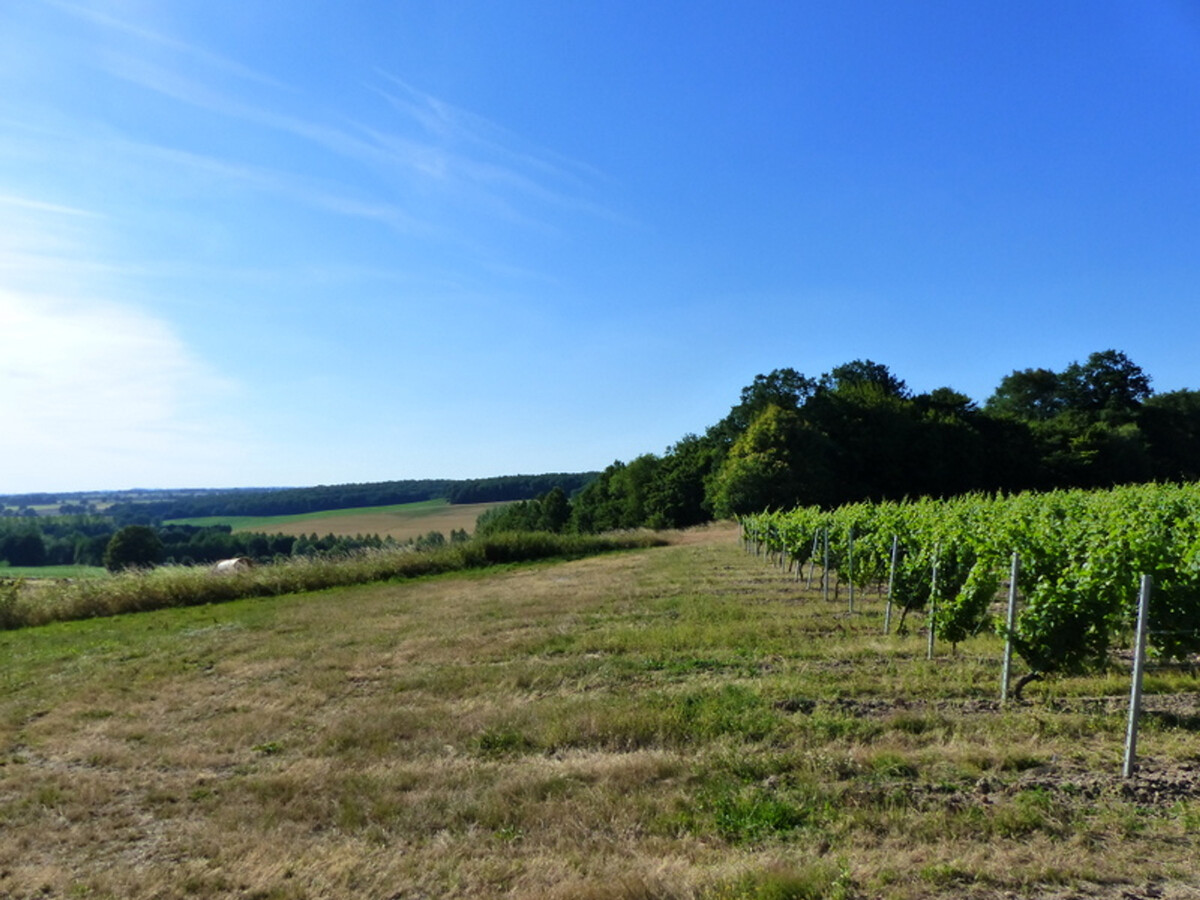 Gîte familial du bocage Bourbonnais, terrasse et jardin - Photo 23