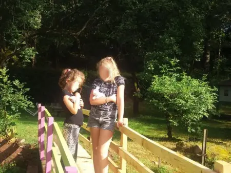 Gîte en pleine nature avec Wifi, animaux acceptés - Photo 17