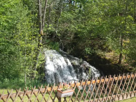 Gîte en pleine nature avec Wifi, animaux acceptés - Photo 20