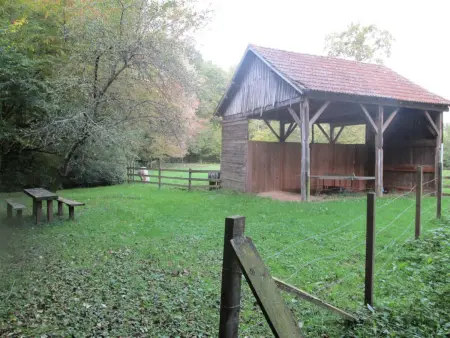 Gîte en pleine nature avec Wifi, animaux acceptés - Photo 24