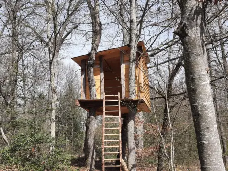 Gîte en pleine nature avec Wifi, animaux acceptés - Photo 33