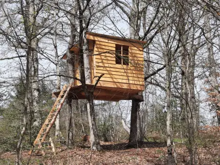 Gîte en pleine nature avec Wifi, animaux acceptés - Photo 34