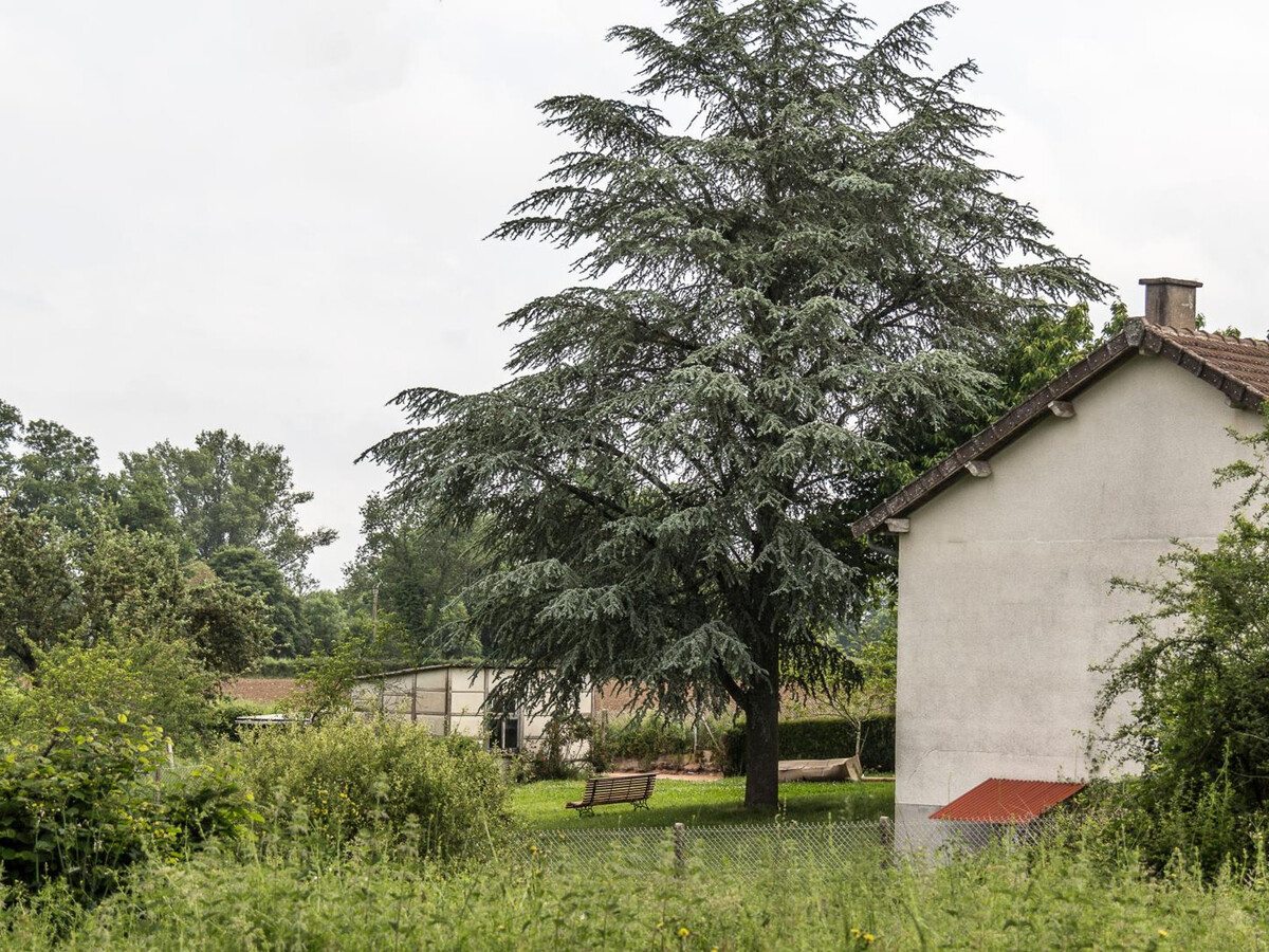 Gîte 6 pers. en Auvergne, ping-pong et boulodrome inclus - Photo 3