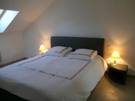 Maison rénovée proche forêt Tronçais, animaux admis - Photo 3