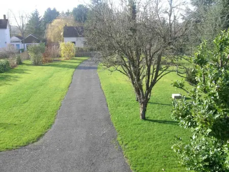 Maison rénovée proche forêt Tronçais, animaux admis - Photo 14