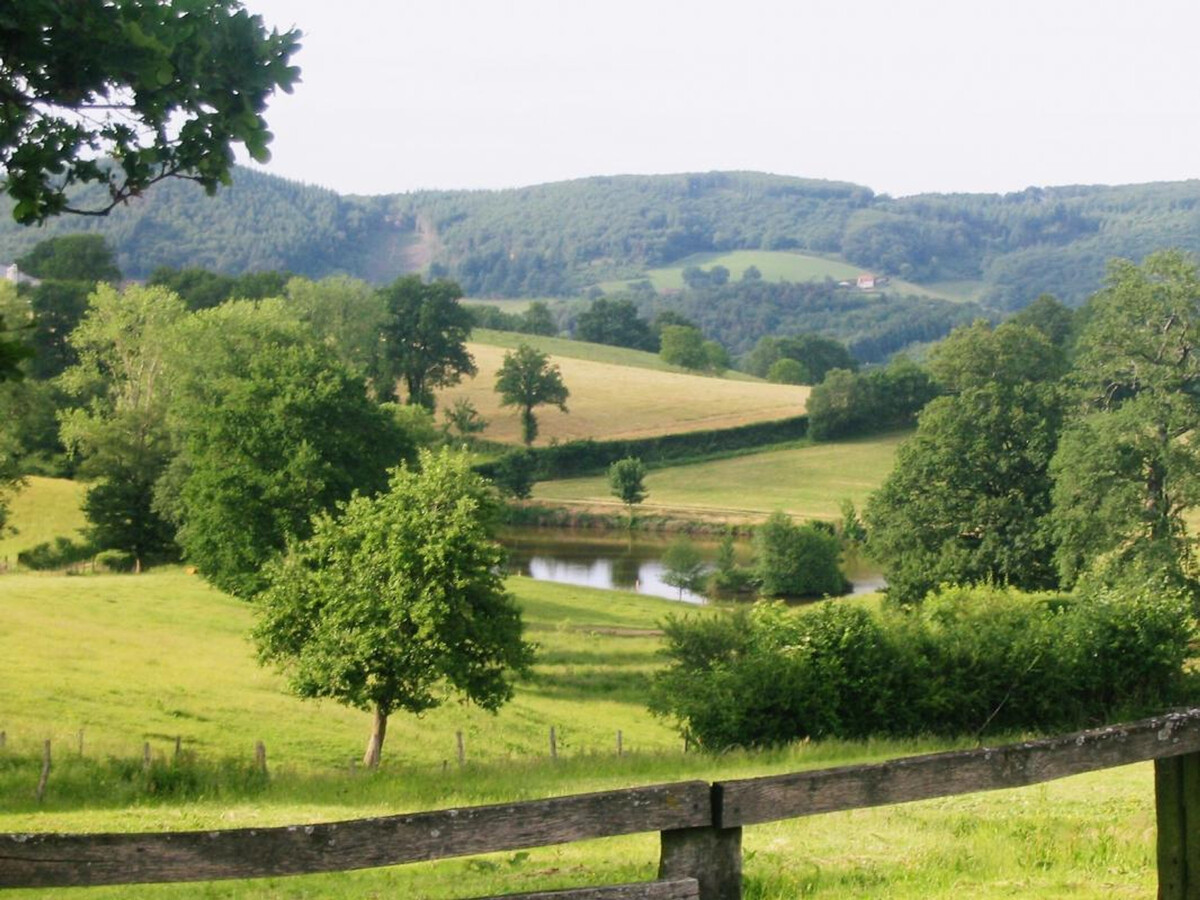 Gîte La Ferme de Gayère - 8 pers., animaux acceptés - Photo 15