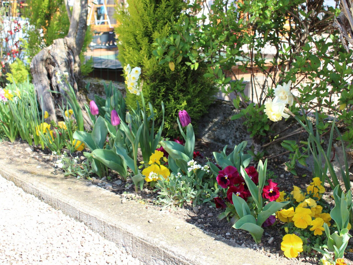 Gîte rénové 5 pers. avec terrasse et plancha à Barberier - Photo 15