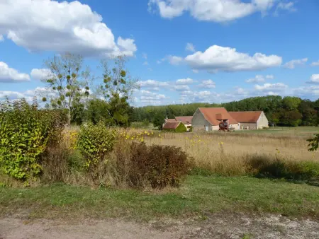 Gîte au calme avec piscine, vue Forêt Tronçais - Photo 18