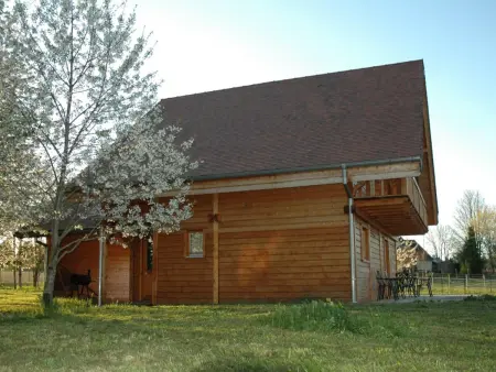 Chalet indépendant avec jardin et accès piscine près de St Pourçain - Photo 2