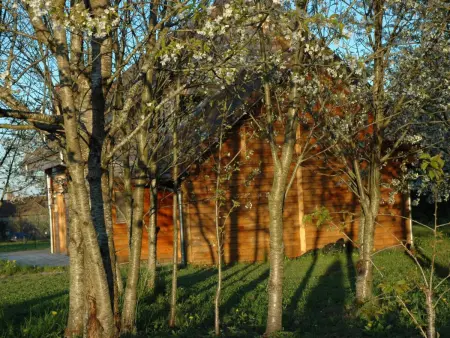 Chalet indépendant avec jardin et accès piscine près de St Pourçain - Photo 14