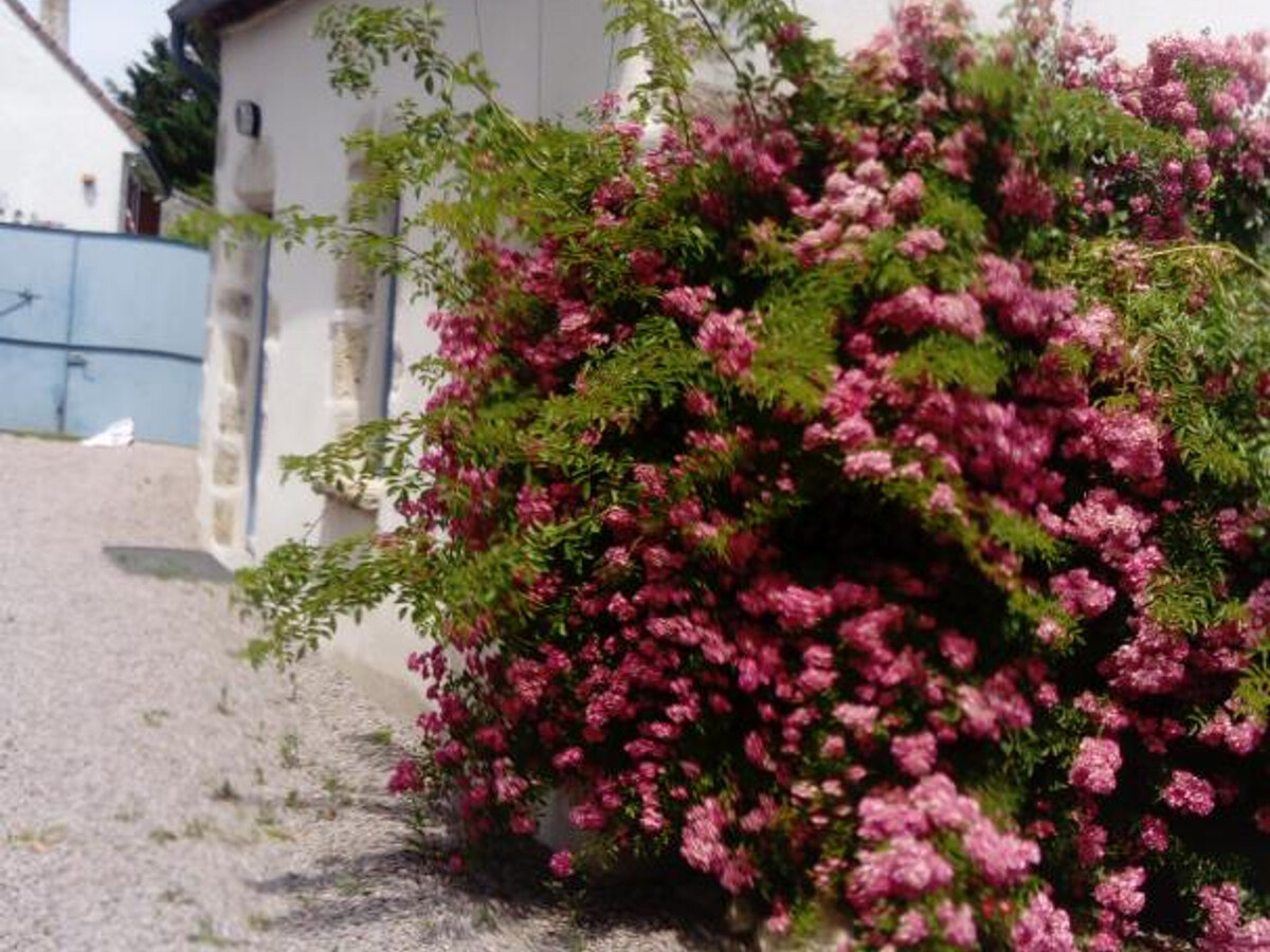 Gîte maison de vendanges rénovée, 4 pers., animaux acceptés - Photo 13