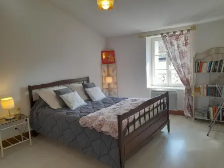 Maison en pierres rénovée, patio 10 m² - Ferrières-sur-Sichon : photo 4