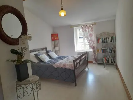 Maison en pierres rénovée, patio 10 m² - Ferrières-sur-Sichon : photo 7