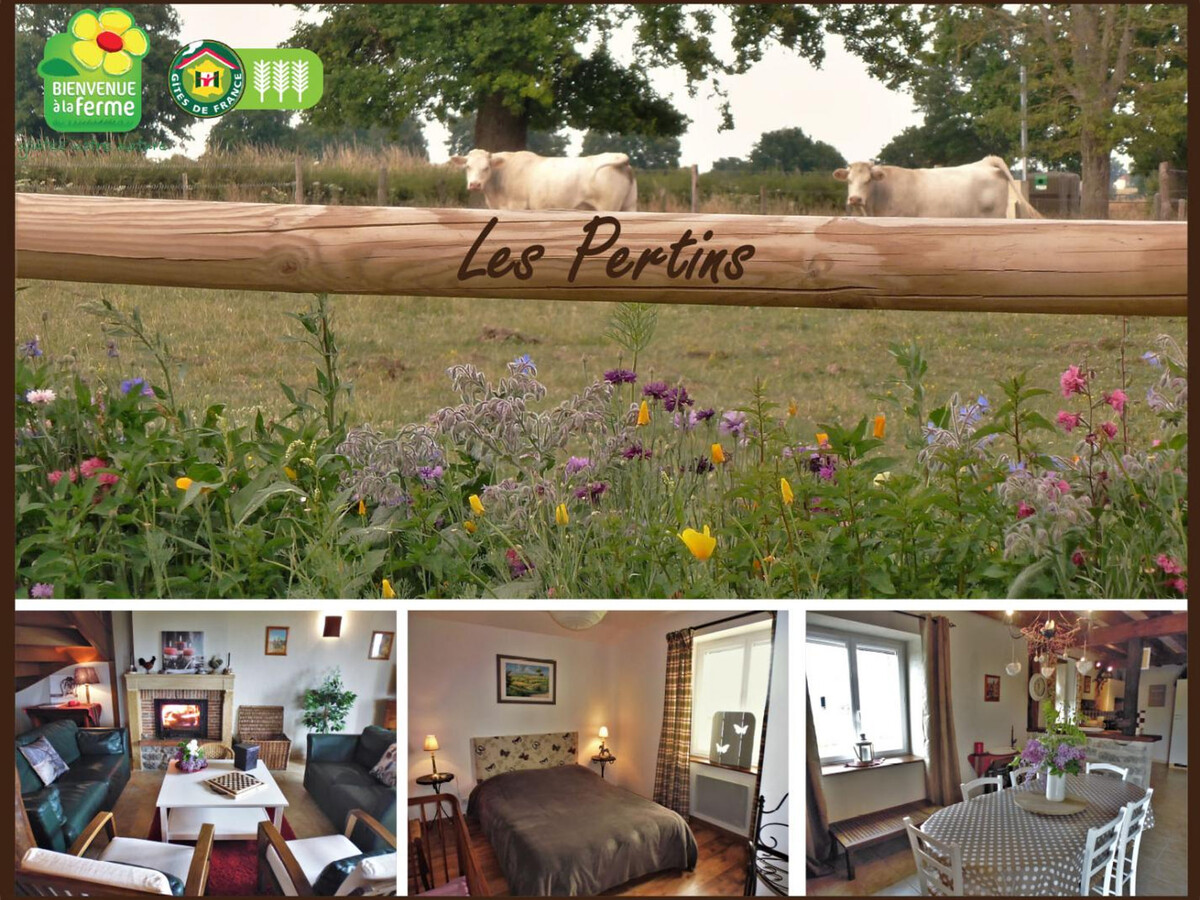 Gîte ancien pour 8 en Auvergne, 4 ch., jardin & jeux - Photo 17
