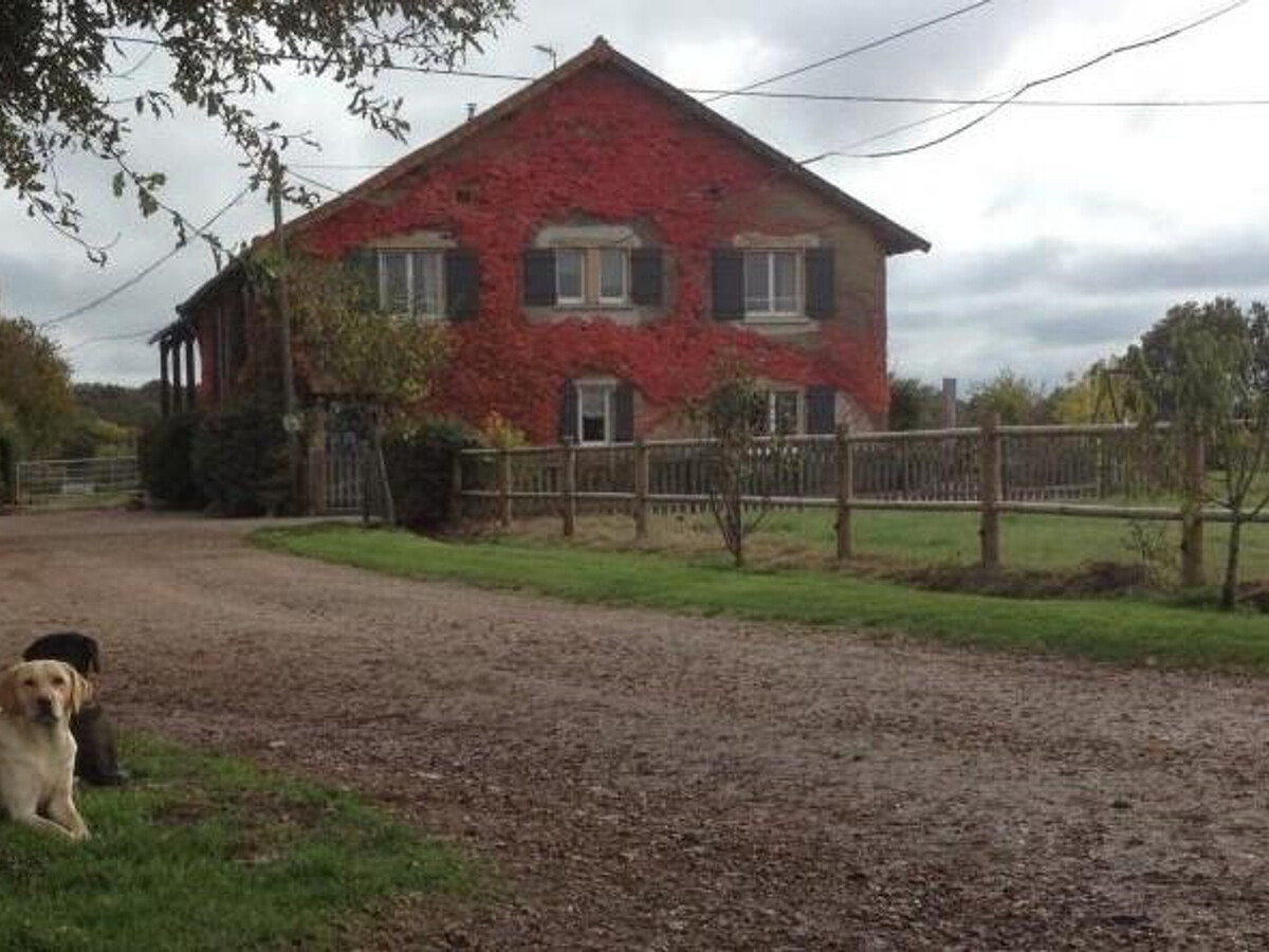 Gîte ancien pour 8 en Auvergne, 4 ch., jardin & jeux - Photo 18