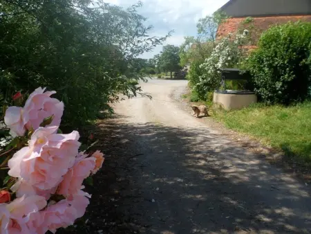 Gîte 10 pers. avec piscine couverte à Souvigny : photo 21