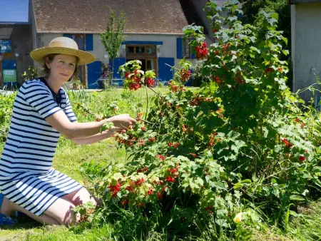 Gîte 10 pers. avec piscine couverte à Souvigny : photo 29