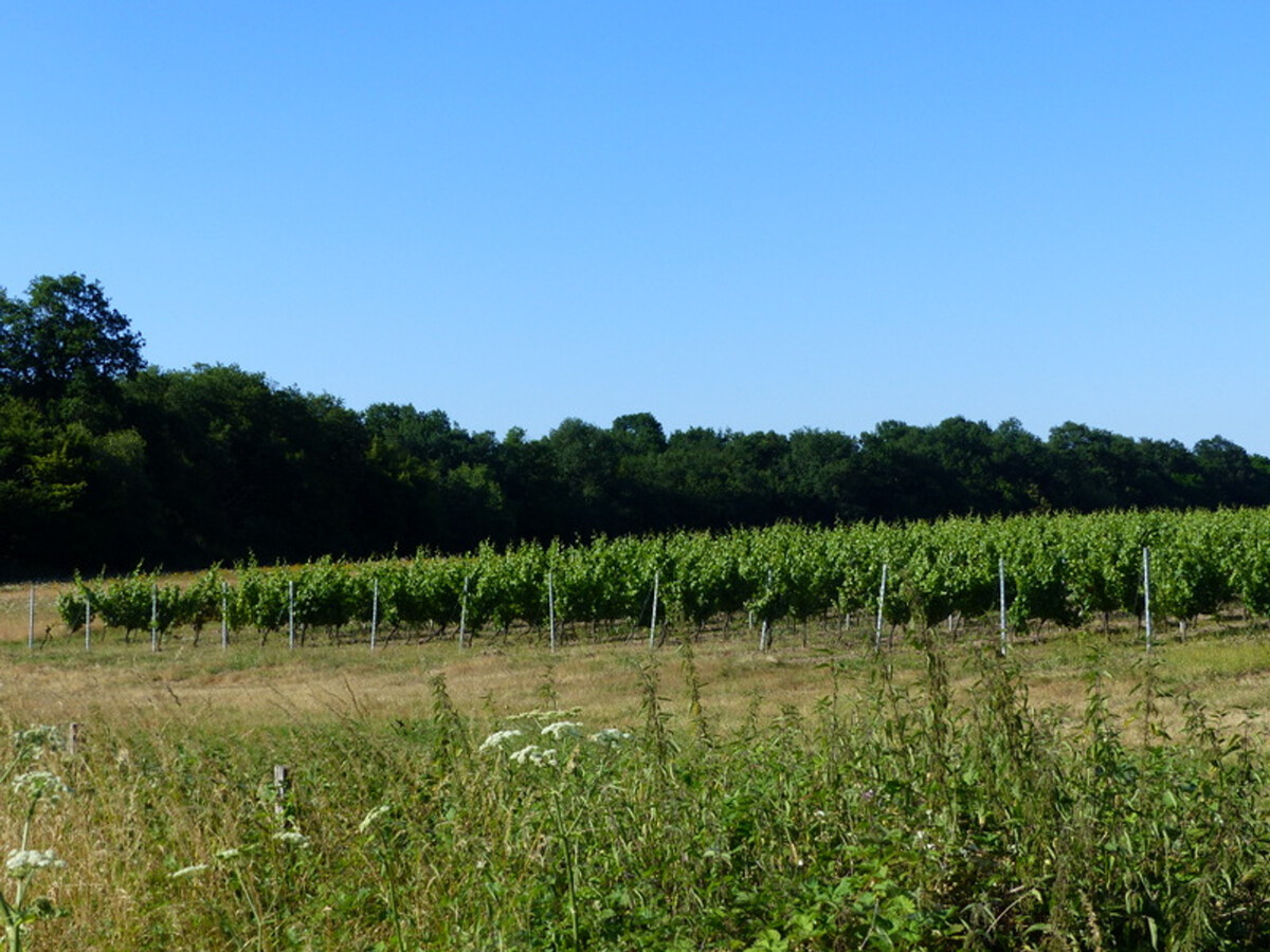 Gîte climatisé 4 pers. - Bocage Bourbonnais - Photo 16