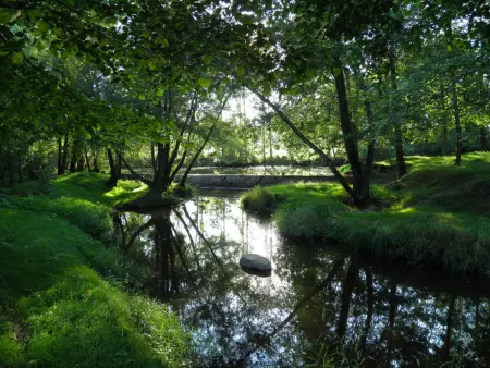 Gîte indépendant avec jardin au bord de la rivière - Photo 16