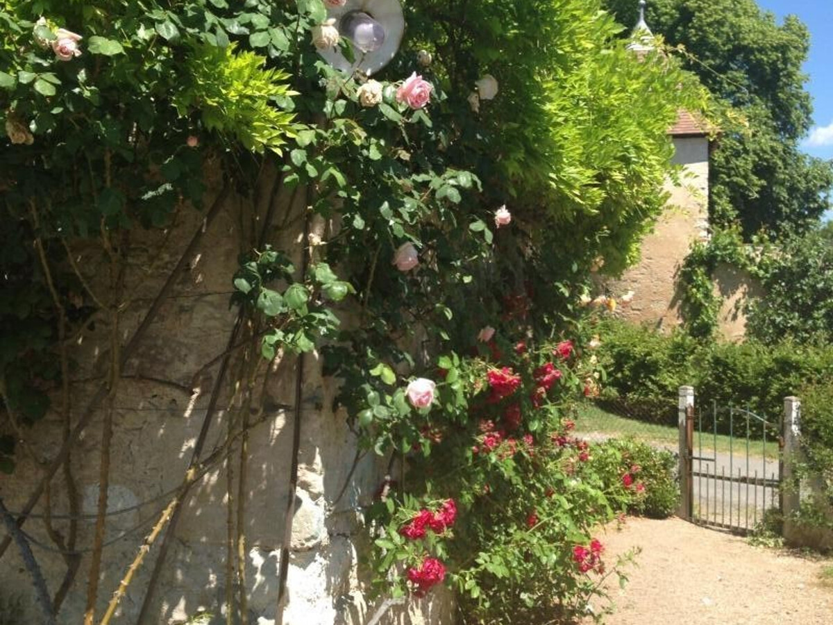 Grange du XVe siècle avec jardin et étang à Saint-Étienne-de-Vicq - Photo 27