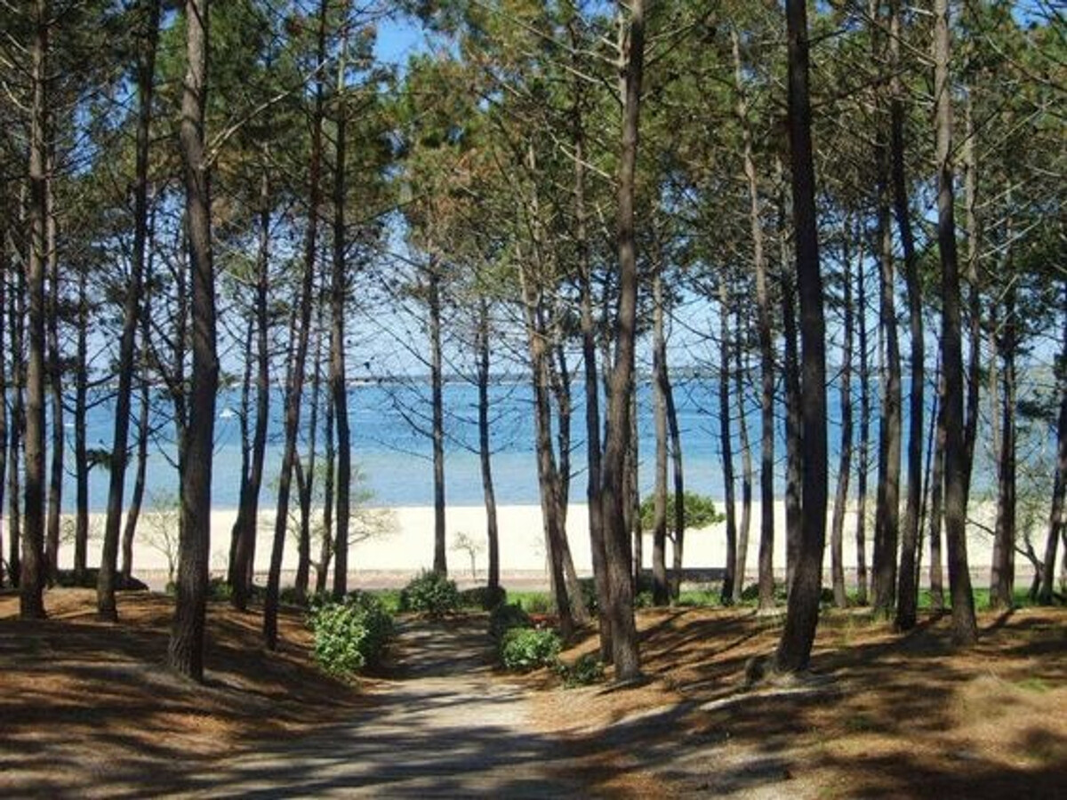 Villa rénovée 4 chambres, piscine chauffée à Arcachon - Photo 23