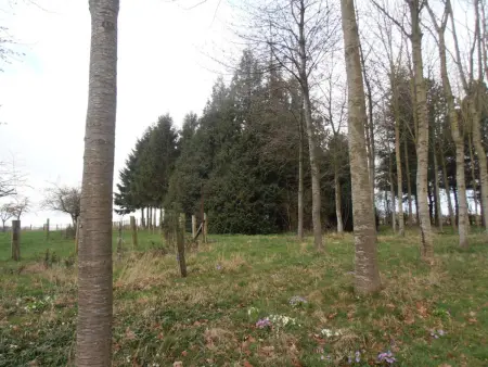 Charmante maison normande avec jardin, animaux admis, proche randonnée - Photo 22