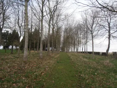 Charmante maison normande avec jardin, animaux admis, proche randonnée - Photo 23