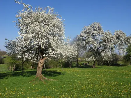 Charmante maison écologique avec jardin clos, Location Gite 5 personnes à La Baroche sous Lucé - Photo 11