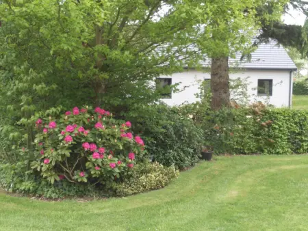 Écogîte indépendant 8 pers proche forêt, terrasse, animaux acceptés - Photo 20