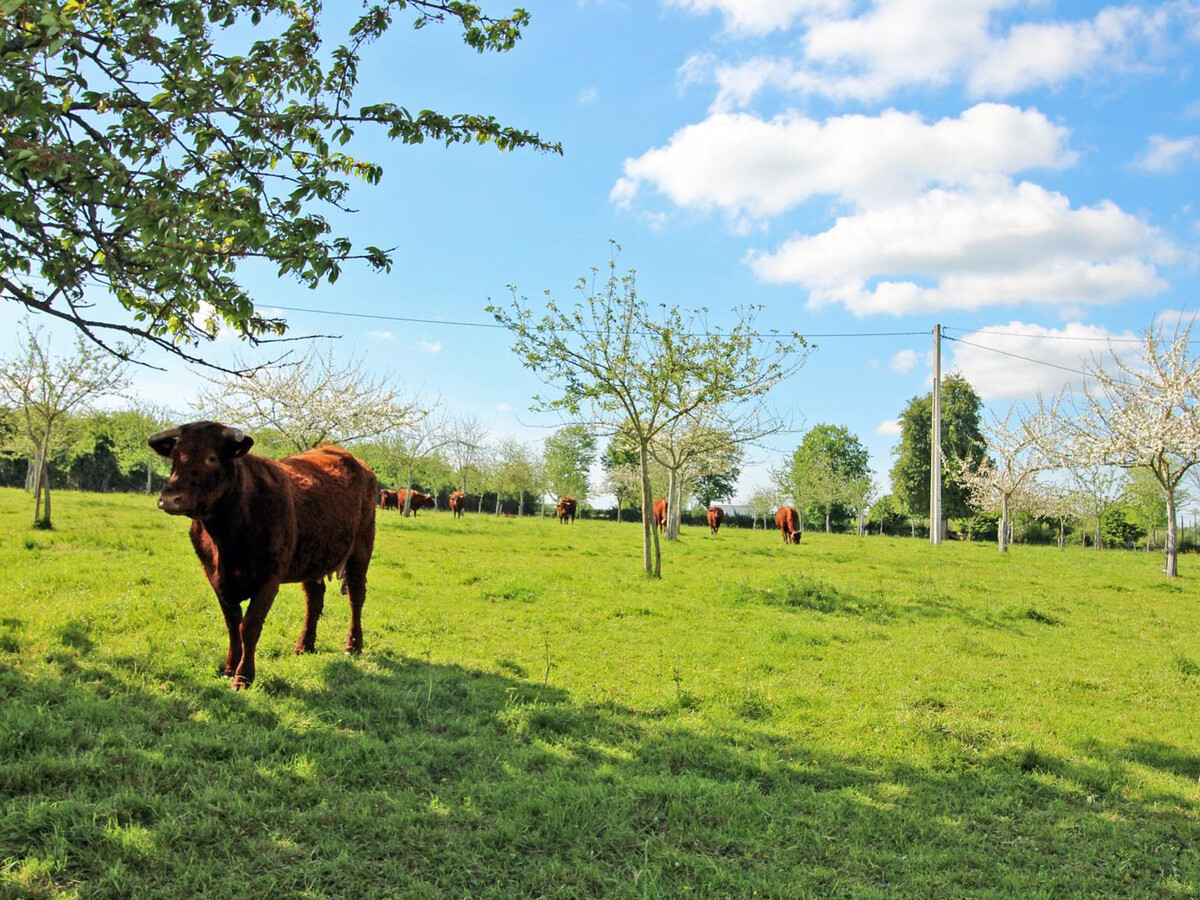 Gîte à la ferme, 6 pers., jardin clos et animaux - Photo 27