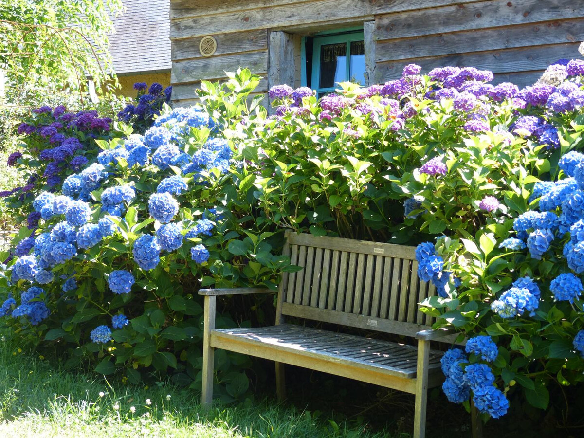 La Bergerie : Gîte 2 chambres, jardin anglais restauré - Photo 3