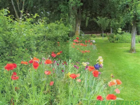 Gîte Normand Idéal Familles et Amis, Jardin et Animaux Acceptés - Photo 25
