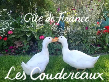 Gîte Normand Idéal Familles et Amis, Jardin et Animaux Acceptés - Photo 28