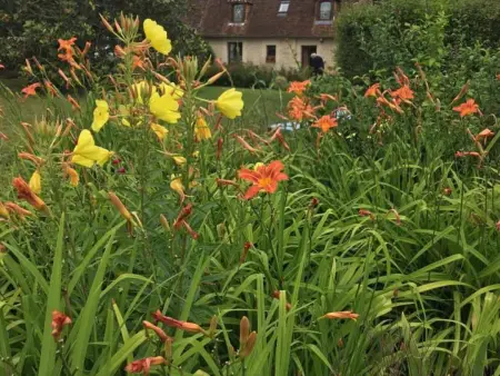 Gîte Normand Idéal Familles et Amis, Jardin et Animaux Acceptés - Photo 32