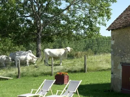 Charmante longère 18ème siècle avec jardin, animaux acceptés - Photo 1