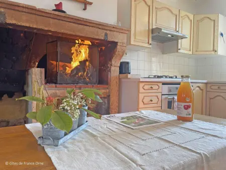 Charmante longère 18ème siècle avec jardin, animaux acceptés - Photo 6