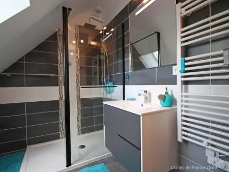 Maison ancienne avec sauna et jeux au cœur du Perche - Photo 14