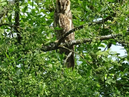 Maison de campagne tranquille avec poêle et animaux admis, proche nature - Photo 18