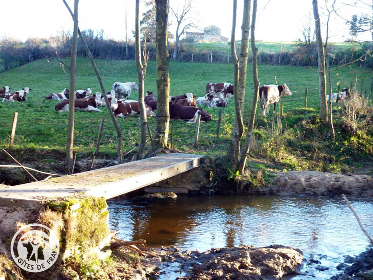 Chant de l'Eau, gîte en pierre 6 pers à Périgneux - Photo 21