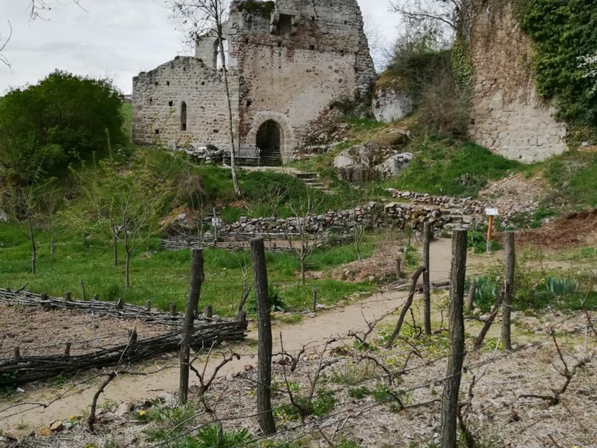 Le Monorail, gîte 8p en pierre avec cheminée à Salt-en-Donzy - Photo 25