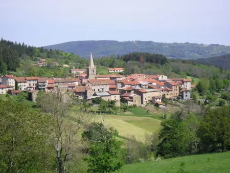 Gîte charmant à Saint-Didier-sur-Rochefort, animaux acceptés, idéal pour 4 personnes - Photo 11