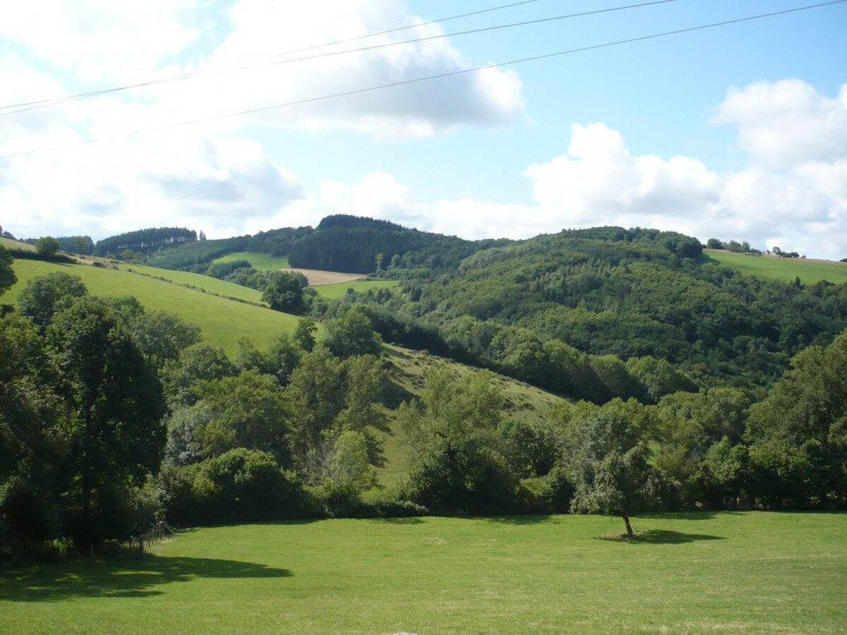 Gîte 8 pers. avec terrain, animaux bienvenus à Saint-Cyr-de-Valorges - Photo 13